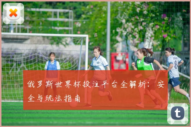俄罗斯世界杯投注平台全解析：安全与玩法指南