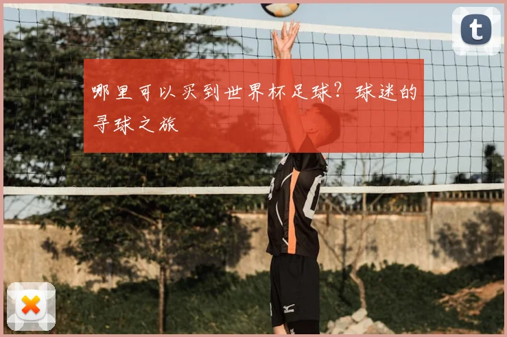 哪里可以买到世界杯足球?球迷的寻球之旅