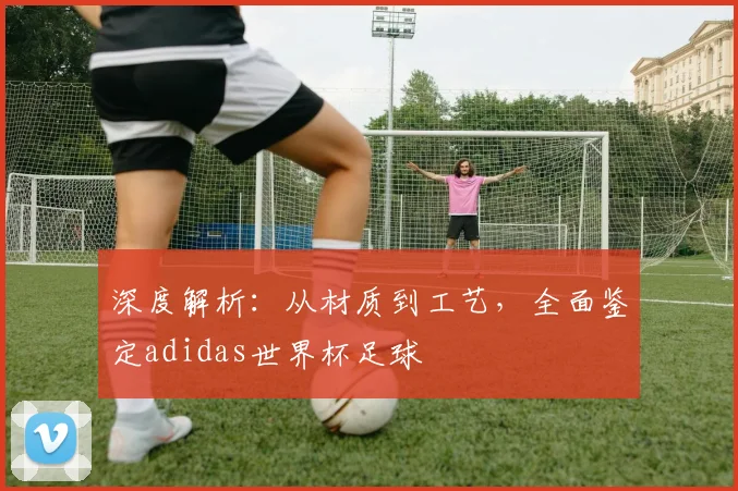 深度解析：从材质到工艺，全面鉴定adidas世界杯足球