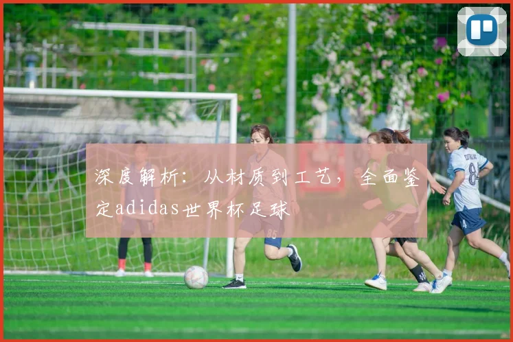 深度解析:从材质到工艺,全面鉴定adidas世界杯足球