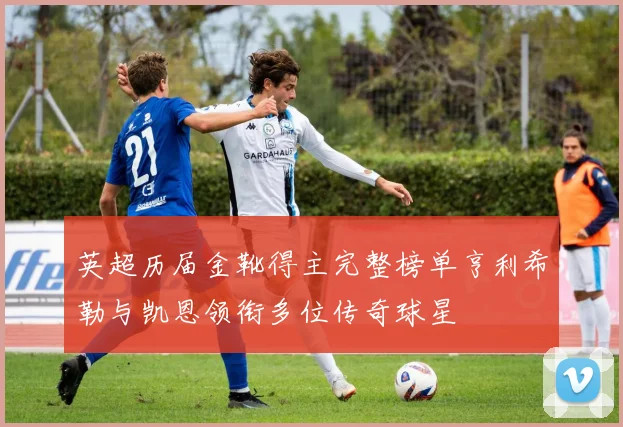 英超历届金靴得主完整榜单亨利希勒与凯恩领衔多位传奇球星