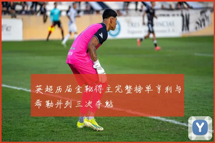 英超历届金靴得主完整榜单亨利与希勒并列三次夺魁
